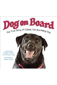 Dog On Board