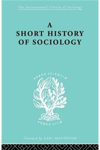 A Short History of Sociology