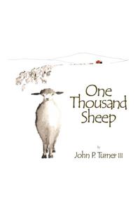 One Thousand Sheep