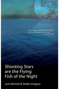 Shooting Stars Are The Flying Fish Of The Night