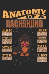 Anatomy Of A Dachshund