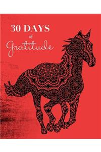 30 Days of Gratitude