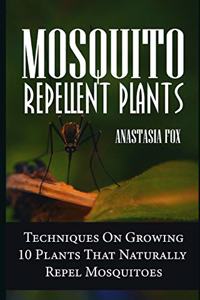 Mosquito Repellent Plants