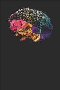 Hedgehog Colors