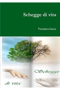 schegge di vita