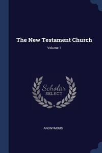 New Testament Church; Volume 1