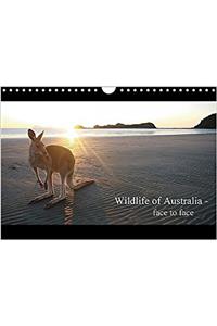 Wildlife of Australia - Face to Face / UK-Version 2017