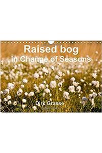 Raised Bog in Change of Seasons / UK-Version 2017