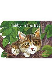 Tabby in the Tree