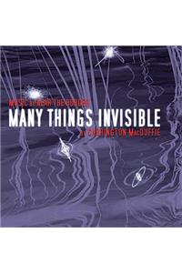 Many Things Invisible