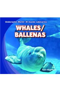 Whales / Ballenas