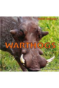 Warthogs