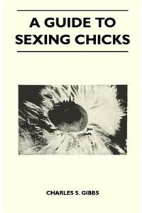Guide To Sexing Chicks