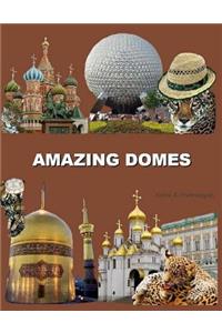 Amazing Domes