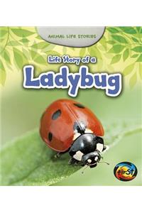 Life Story of a Ladybug