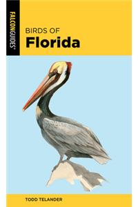 Birds of Florida