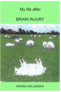 My life after BRAIN INJURY