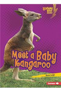 Meet a Baby Kangaroo