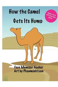 How the Camel Gets Its Hump