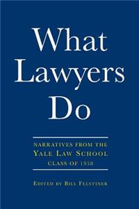 What Lawyers Do