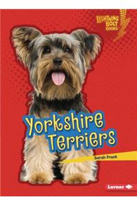 Yorkshire Terriers