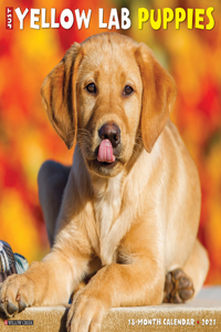 Just Yellow Lab Puppies 2021 Wall Calendar (Dog Breed Calendar)