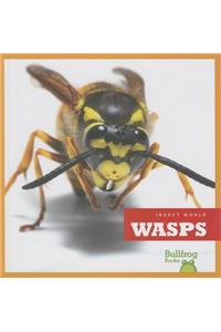 Wasps