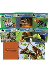 South American Animals (Set)