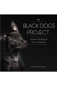 The Black Dogs Project