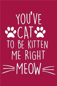 You've Cat To be Kitten Me Right Now