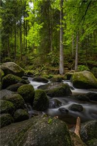 A Brook in the Black Forest Journal