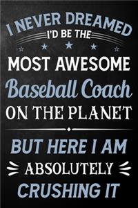 I Never Dreamed I'd Be The Most Awesome Baseball Coach On The Planet But Here I Am Absolutely Crushing It