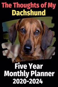 The Thoughts of My Dachshund