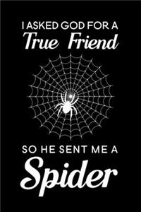 I asked god for a true friend so he sent me a spider
