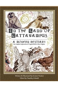 In the Land of Cattawampus
