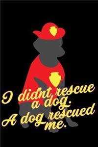 I Didnt Rescue a Dog