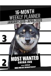 2019-2020 Weekly Planner - Most Wanted Shiba Inu