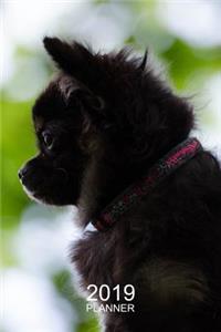 Chihuahua Planner 2019