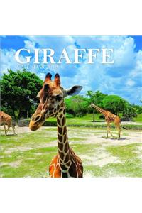 Giraffe Calendar 2019
