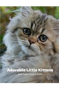 Adorable Little Kittens