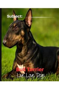 Bull Terrier - Live Love Dogs!