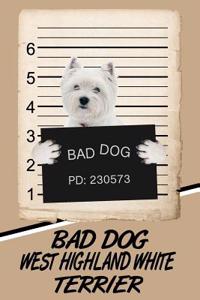 Bad Dog West Highland White Terrier