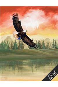 Bird Notebook Collection