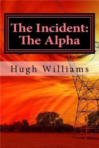 Incident