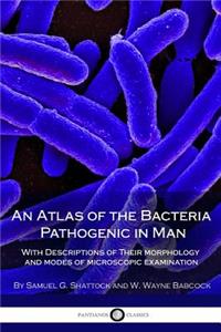 An Atlas of the Bacteria Pathogenic in Man