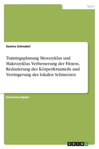Trainingsplanung Mesozyklus und Makrozyklus. Verbesserung der Fitness, Reduzierung des Körperfettanteils und Verringerung des lokalen Schmerzen