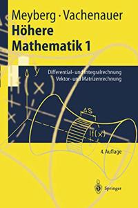 H Here Mathematik 1: Differential- Und Integralrechnung Vektor- Und Matrizenrechnung