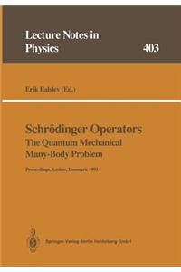Schrödinger Operators The Quantum Mechanical Many-Body Problem