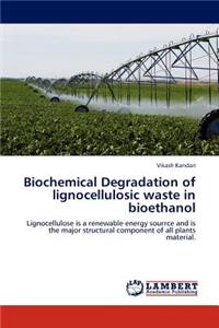 Biochemical Degradation of Lignocellulosic Waste in Bioethanol