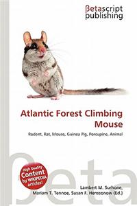 Atlantic Forest Climbing Mouse